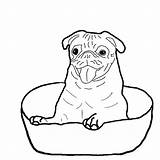 Boxer Coloring Dog Puppy Sitting Bowl Drawing Down Printable Getcolorings Sketch Template Getdrawings sketch template