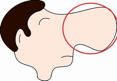 Nose Clip Cartoon Clipart Nez Cliparts Smell