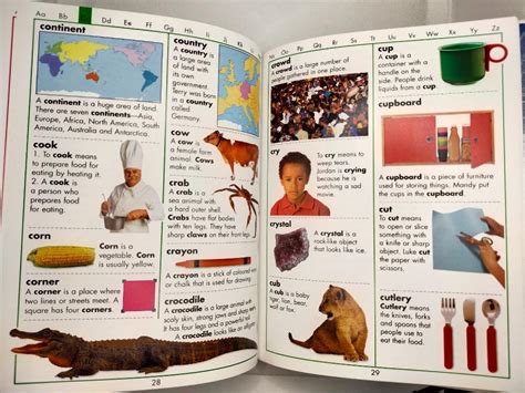 My First Picture Dictionary By Hinkler Books Hobbies And Toys Books