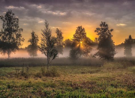 🇸🇪 Sunrise Over Meadow Sweden By Lenasanver On Reddit 🌅 Meadow