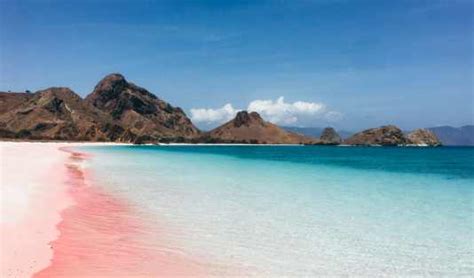Layaknya Alam Fantasi Wisata Di Pantai Pink Labuan Bajo Pigiblog