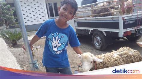 Cerita Pelajar Sd Kurban Kambing Dari Hasil Menabung 4 Tahun