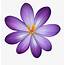 Clip Art Free Purple Flower  Clipart