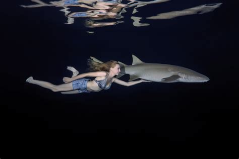 Model Poses Underwater With Sharks To Prove Creatures Are Not Dangerous