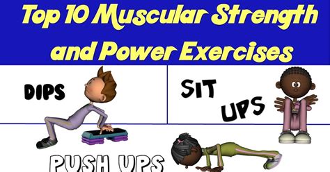 Muscular Strength And Endurance Upper Body Exercises Exercise
