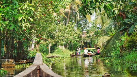The Best Alleppey Backwaters Tours Five Ways To See The Backwaters — Travels Of A Bookpacker