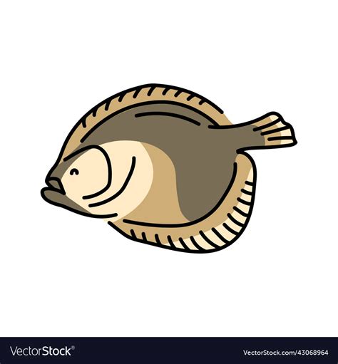Flounder Color Line Ocean Fishes Royalty Free Vector Image