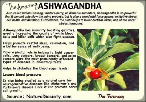 Good To Know Ashwagandha Benefits Ashwagandha Health