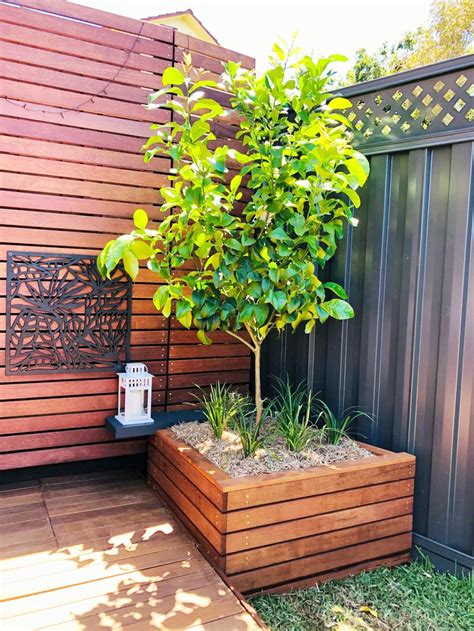 Lemon Tree Diy Planter Box Bunnings Workshop Community