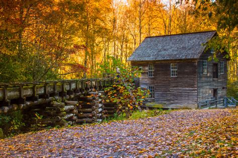 Fall Foliage 2016 Forecast And Guide Blue Ridge Mountain