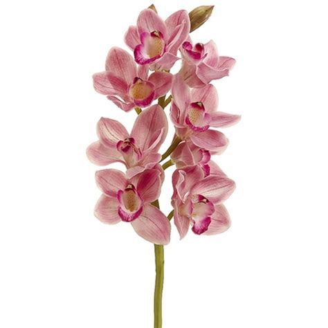 Pack Of 6 Artificial Rubrum Pink Cymbidium Orchid Silk Flower Sprays 28