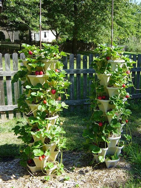40 Diy Strawberry Planter Ideas For Container Planting