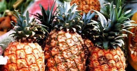 Nanas merupakan tanaman buah berupa semak yang memiliki nama ilmiah ananas comosus. Mengurai Klasifikasi Buah Nanas