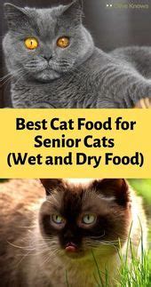 Cat food advisor revealed how to choose the best cat food. Bestes Katzenfutter für ältere Katzen (Nass- und ...