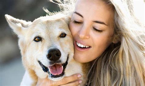 Dog Lovers Things Only Dog Lovers Can Relate To Dogs Best Buddy