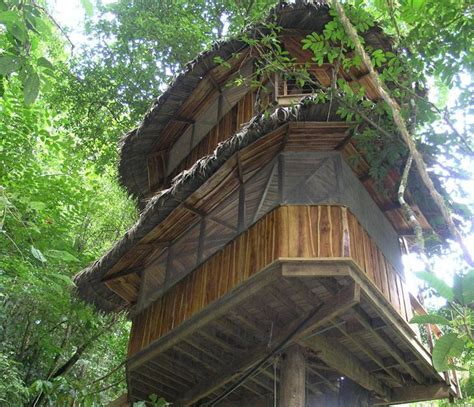 Eco Ewok Treehouses Finca Bellavista Rainforest Village Eco Lifestyle