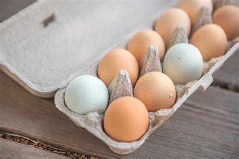 Eier kochen im Topf so gelingen sie dir wirklich