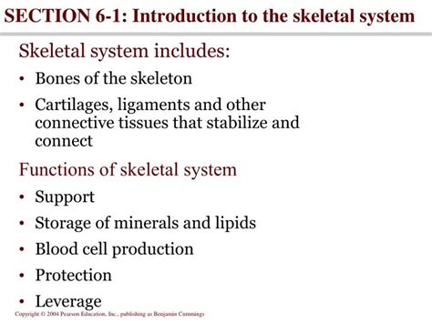 Ppt Section 6 1 Introduction To The Skeletal System Powerpoint