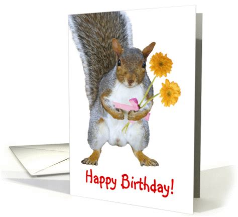 Happy Birthday Squirrel Greeting Card 272998