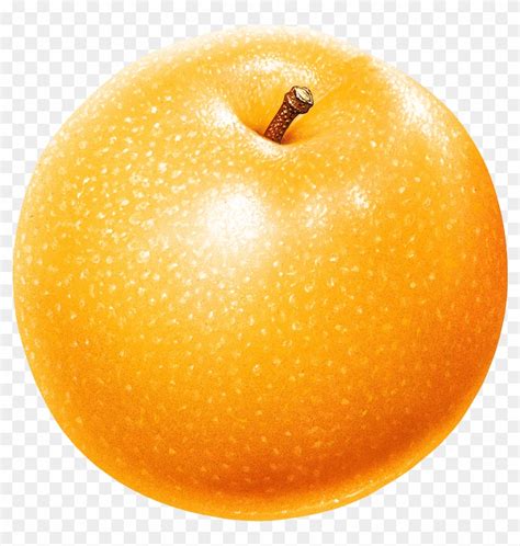 テレビ東京) shortly known as teleto (テレ東), is a flagship of the txn network, along with five local affiliates around japan. Yellow Apple's Png Image - Cartoon Asian Pear Png ...