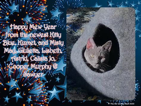 Happy Mew Year 2021 From Kitties Blue The Cat On My Head