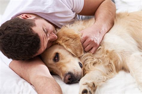 31 Can Dogs Die In Their Sleep Home