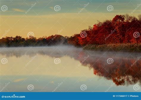Fog Over River In Forest In The Autumn Stock Image Image Of Mirror