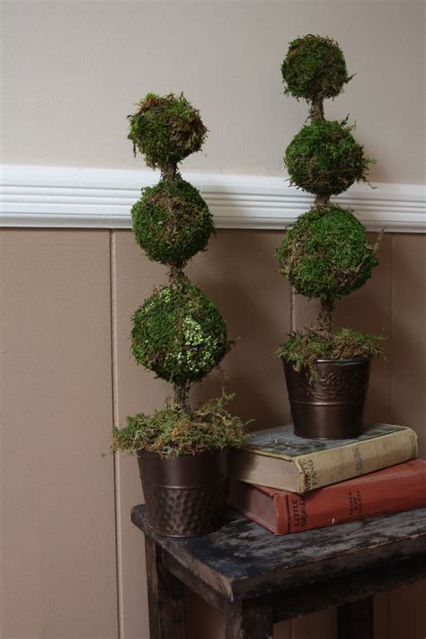 Moss Topiary Topiary Indoor Topiary Garden Deco