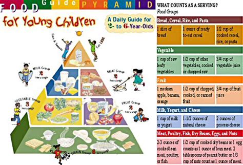 Food Guide Pyramid For Kids Printable Medical Anatomy