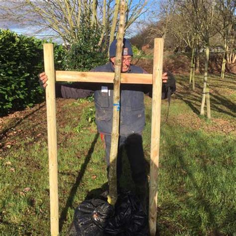 Staking rewards are paid out to users every month, in the supported cryptoasset, with no action at all required on their part. Tree Staking 2 - Green Mile Trees Green Mile Trees