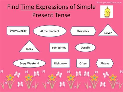Time Expression And Verbs In Simple Present Tense