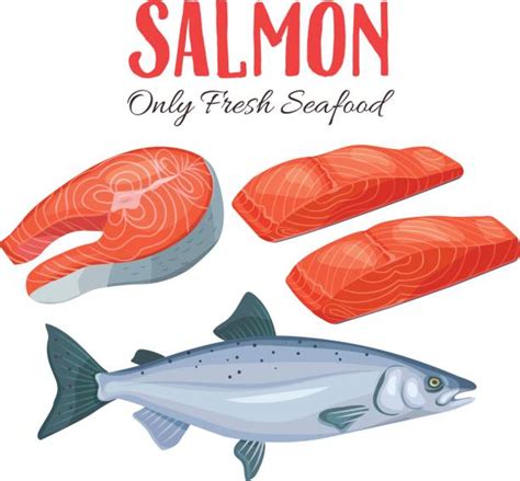 Royalty Free Salmon Clip Art Vector Images And Illustrations Istock