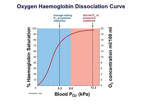 Dissociation Cardiovascular Oxygen