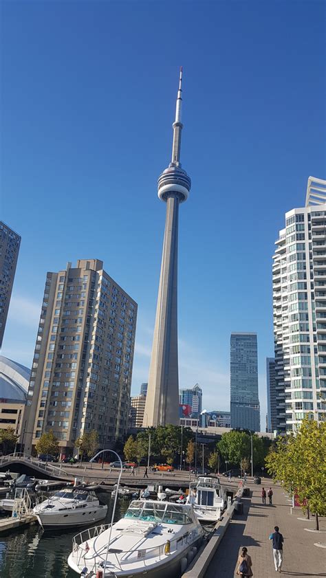 Canada's most recognizable and cn tower/la tour cnподлинная учетная запись @tourcntower. CN Tower Foto & Bild | north america, canada, the east ...