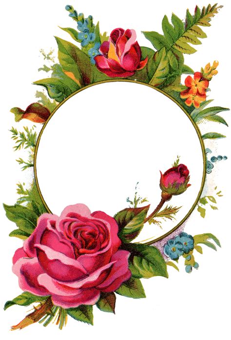 Free Stock Images-Rose Frame - Free Pretty Things For You