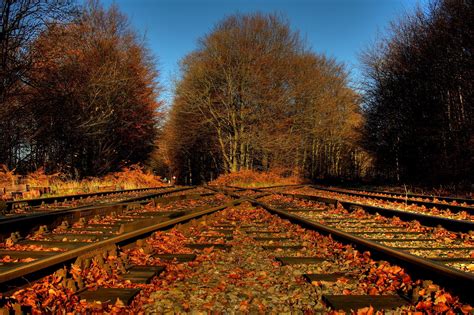 Trees Foliage Leaves Railroad Tracks Crossing Road Autumn