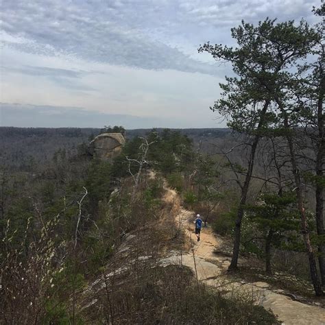 Auxier Ridge Trail Red River Gorge Kentucky Usa Hiking