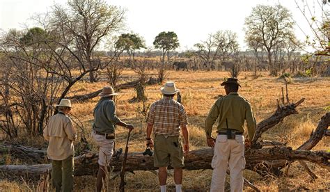 Chobe Enclave Safaris With Africa Travel Resource