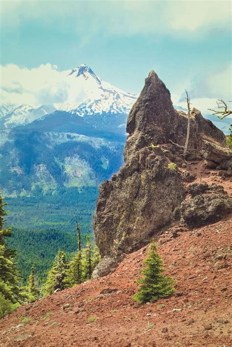 This Easy Hike Offers Oregons Best Mt Hood Views