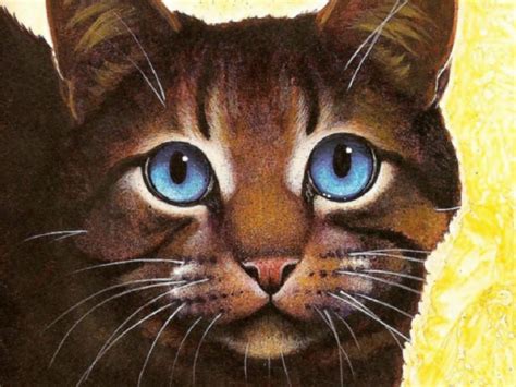 Cats eyes series 1 episode 1 tvs production 1985. Spreker Der Puntige Stenen - Nederlandse Warrior Cats wiki