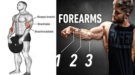 Ultimate Forearm Workout Guide Build Strength And Mass With Dumbbells And More Youtube