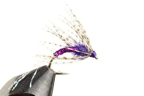 Purplehazewetfly With Images Fly Tying Patterns Purple Haze Purple