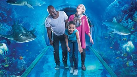 The National Sea Life Centre Tickets 2for1 Offers