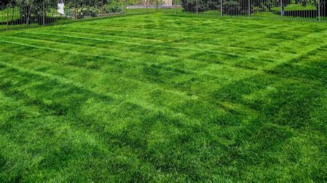 Lawn Mowing Services In Macomb Shelby And Chesterfield Mi Big Lakes