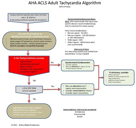 Tachycardia And Its Acls Algorithm Acls Algorithms Com