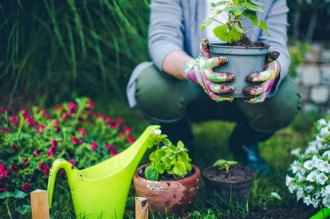 How Gardening Can Improve Your Wellbeing