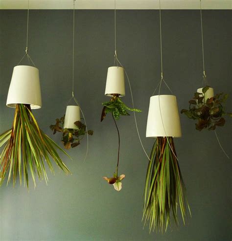 Unique Indoor Plants Simple Effort For Eco Friendly Home Design