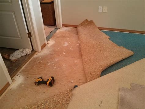 Squeaky Floors The Best Carpet Repair And Stretch Services In Calgary