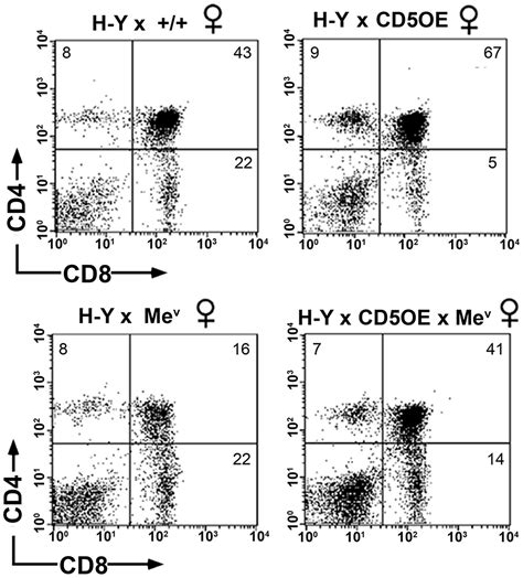 Cd5 Mediated Inhibition Of Tcr Signaling Proceeds Normally In The