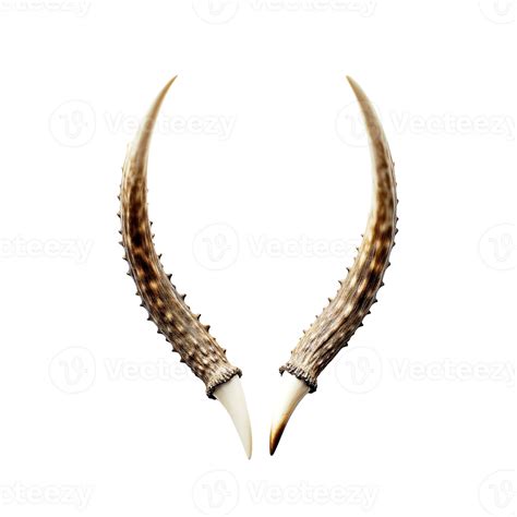 Animal Horns Isolated On Transparent Background Created With